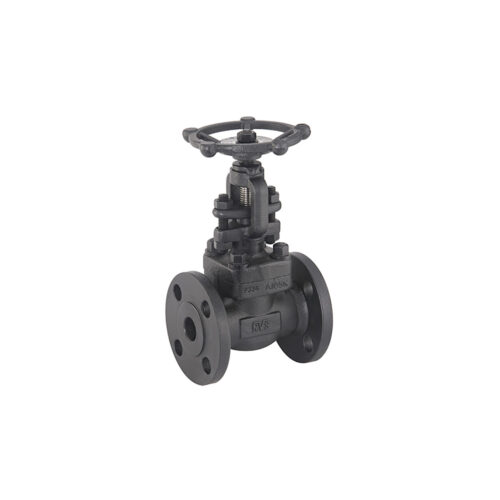 FLOHUB - FORGED STEEL GLOBE VALVE