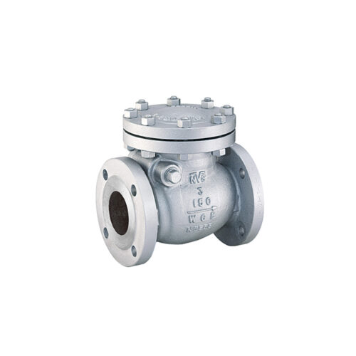 FLOHUB - CAST STEEL SWING CHECK VALVE