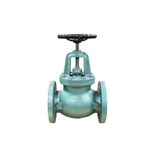 Iron - Globe Valves