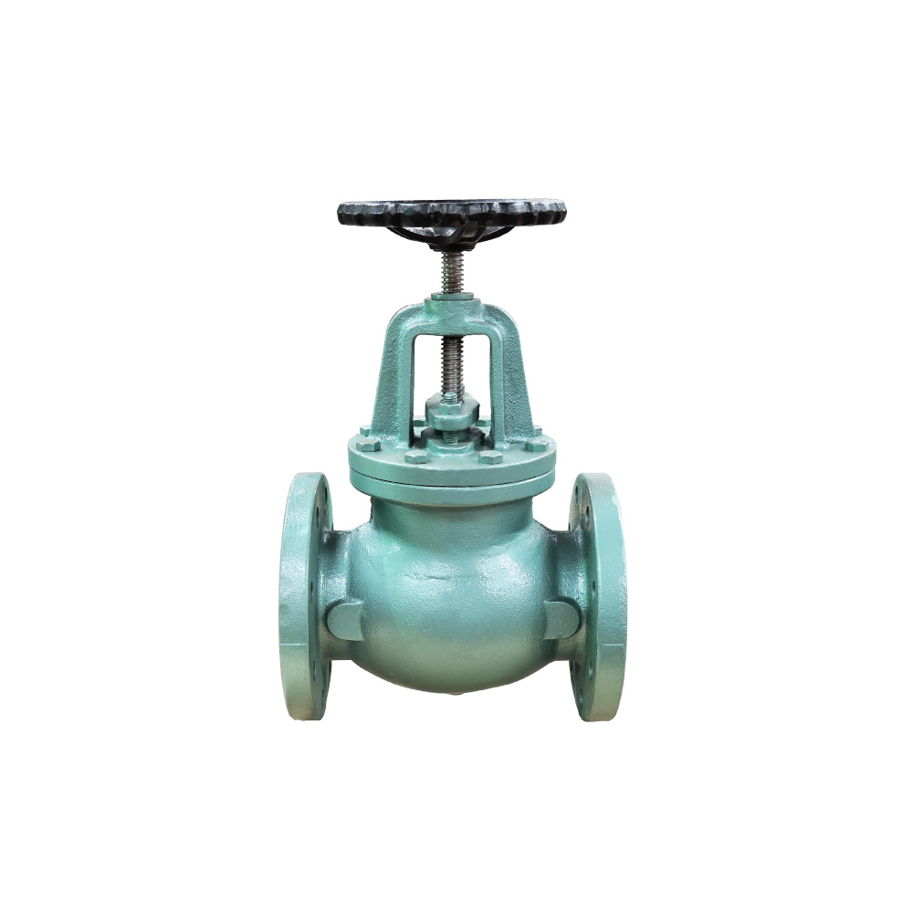 Iron Globe Valves